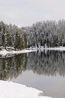 Yellowstone Prints: SP022320
