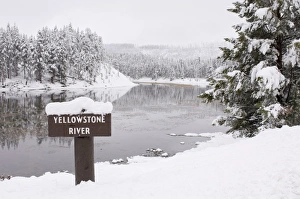 Yellowstone Prints: SP022362