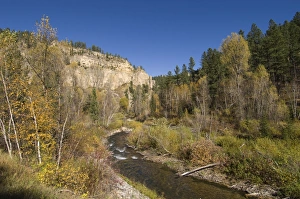 Images Dated 2nd October 2007: Spearfish Canyon, Black Hills, South Dakota, United States of America, North America