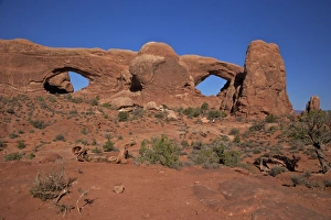 Sand Stone Prints: The Spectacles (North and South Windows)