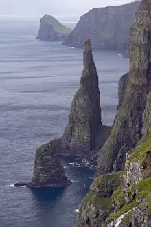 Sea Stacks Prints: Spectacular 300-400m high cliffs on west coast of Sandoy