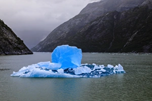 Floating On Water Prints: Spectacular iceberg, with stunning blue cube, Tracy Arm Fjord, misty conditions