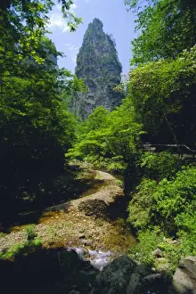 Hunan Province Prints: Spectacular limestone outcrops and forested valleys of Zhangjiajie Forest Park in the Wulingyuan Scenic Area