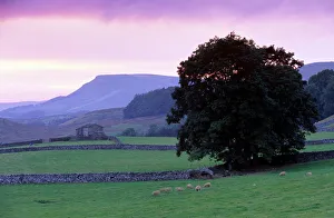 Wensleydale Prints: Spectacular sunset near Hardraw in Wensleydale, Yorkshire Dales National Park