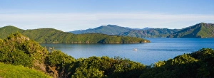 Speed boat in Queen Charlotte Sound, Picton, Marlborough Region, South Island, New Zealand, Pacific