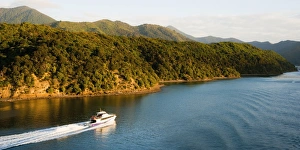 Marlborough Region Prints: Speed boat in Queen Charlotte Sound