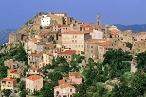 Corsica Prints: Speloncato, village of Balagne region, Upper Corsica, Northern Corsica, France, Europe