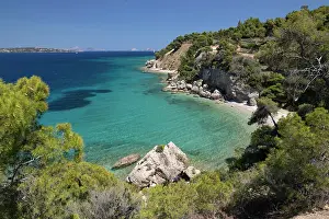 Azure Prints: Spetses beach with pine trees and crystal clear blue water