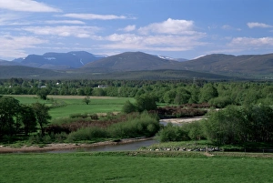 Cairn Gorm Prints: Spey Valley and the Cairngorms