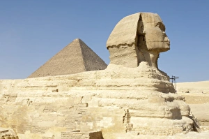 Images Dated 5th February 2009: Sphinx, Giza, UNESCO World Heritage Site, near Cairo, Egypt, North Africa, Africa