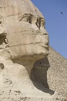 Images Dated 21st February 2007: The Sphinx, Giza, UNESCO World Heritage Site, near Cairo, Egypt, North Africa, Africa