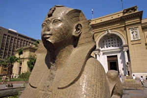 Sphinxes Prints: Sphinx outside the Egyptian Museum, Cairo, Egypt, North Africa, Africa