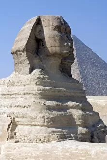 Images Dated 23rd October 2007: The Sphinx at the Pyramids, Giza, UNESCO World Heritage Site, near Cairo