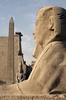 A sphinx stands in front of Luxor Temple, Luxor, Thebes, UNESCO World Heritage Site
