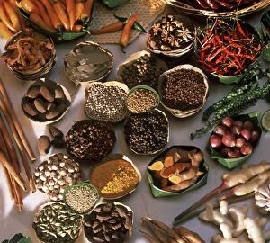 Images Dated 5th August 2010: Spices used in Thai, Indian, Indonesian and Malay food, Thailand, Southeast Asia, Asia