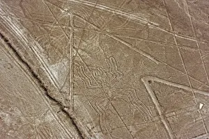 National Landmarks Prints: Spider, Lines and Geoglyphs of Nasca, UNESCO World Heritage Site, Peru, South America