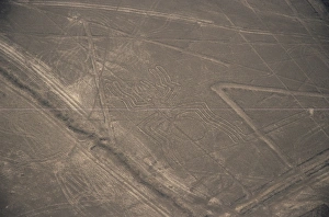 Nazca Prints: Spider, Nazca (Nasca) Lines