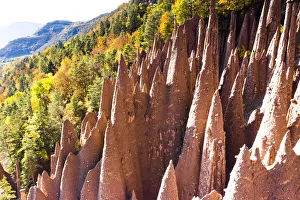 Bolzano Prints: Spiked rocks of the earth pyramids in autumn, Longomoso, Renon (Ritten), Bolzano