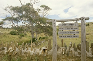 Spiky Bridge built in 1843 by convicts, east coast, Tasmania, Australia, Pacific