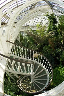 Gardens Prints: Spiral staircase in the Temperate House