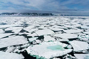 Ice Floe Prints: Spitsbergen, Svalbard Islands, Arctic, Norway, Europe