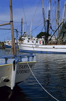 Sponge Docks and boats