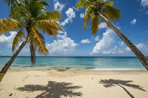 Sprat Hall Beach, St. Croix, US Virgin Islands