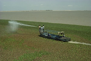 Sudan Prints: Spraying to eradicate water hyacinth at dam, Jebel Aulia, Sudan, Africa