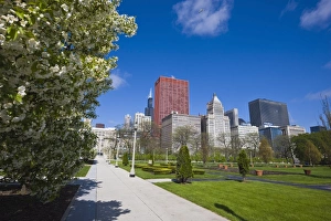 Grant Park Prints: Spring blossom in Grant Park, Chicago, Illinois, United States of America, North America