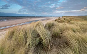Day Time Prints: A spring evening at Holkham Bay, Norfolk, England