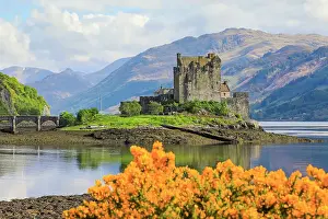 Heritage Site Prints: Spring flowers and the 13th century Eilean Donan Castle on a tidal island by the Kyle of Loch Alsh