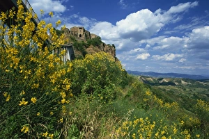 Hill Village Prints: Spring flowers beneath the clifftop village