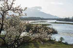 Shida Kartli Prints: Spring landscape, Shida Kartli, Gori, Georgia, Caucasus, Central Asia, Asia