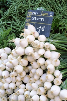 Annecy Prints: Spring onions (salad onions) for sale on market in the Rue Ste. Claire