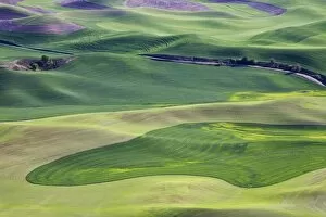 Images Dated 25th May 2010: Spring in the Palouse, from Steptoe Butte, Washington State, United States of America