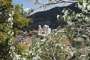 Images Dated 2nd April 2007: Spring view, Pedoulas, High Troodos Mountains, Cyprus, Europe