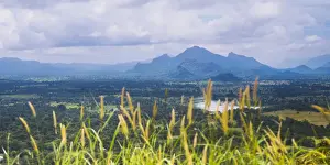 Sigiriya Prints: Sri Lanka landscape, taken from the top of Sigiriya Rock Fortress (Lion Rock)