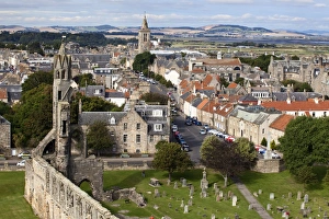 Grave Stone Prints: St. Andrews from St. Rules Tower at St
