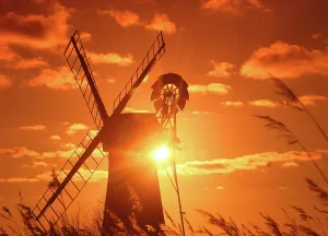 Reeds Prints: St. Benet's Mill, sunset, Norfolk Broads, Norfolk