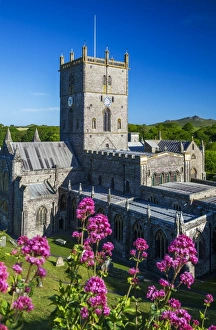 St. Davids Cathedral, Pembrokeshire, Wales, United Kingdom, Europe