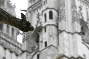 St. Gatien Cathedral gargoyle, Tours, Indre-et-Loire, France, Europe