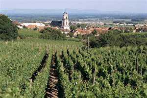 Haut Rhin Prints: St. Hippolyte village, Route de Vin, Haut-Rhin, Alsace, France, Europe
