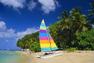 Barbados Prints: St. James Beach, Barbados, Caribbean, West Indies
