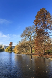 Whitehall Prints: St. Jamess Park, with view across lake to Buckingham Palace, sunny late autumn, Whitehall