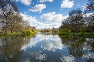 Westminster Prints: St. Jamess Park, Whitehall, Westminster, London, England, United Kingdom, Europe