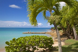 St. Johns, Antigua, Leeward Islands, West Indies, Caribbean, Central America
