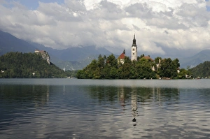 Slovenia Prints: St. Mary of the Assumption church and Bled Castle