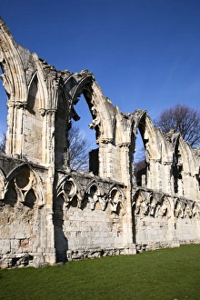 Botanical Garden Prints: St Marys Abbey, Museum Gardens, York, Yorkshire, England