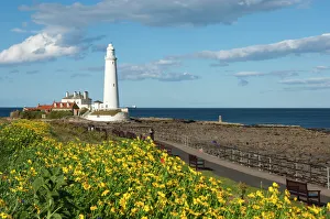 Safety Prints: St. Marys Lighthouse, Whitley Bay, Northumbria, England, United Kingdom, Europe