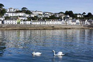 Floating On Water Prints: St. Mawes, Cornwall, England, United Kingdom, Europe